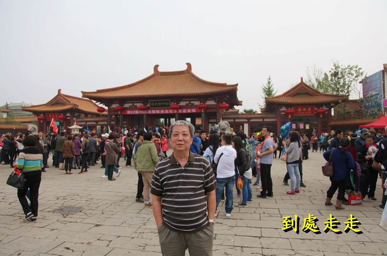 洛陽春暖賞牡丹