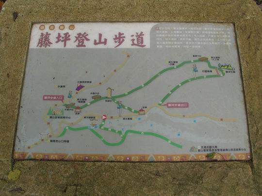 生態之旅~~藤坪步道