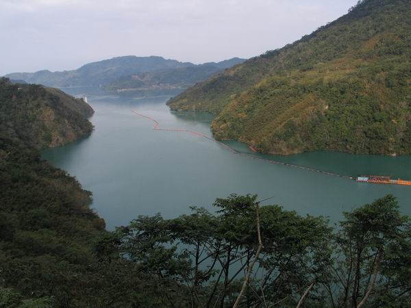 森林知性之旅~~東眼山賞櫻.登山