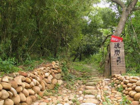 戀戀桐花~古道行