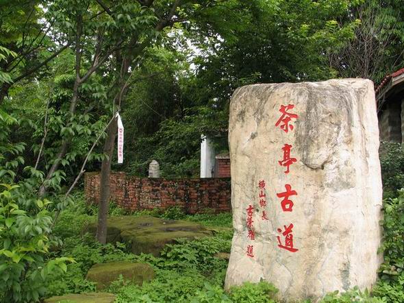浪漫繽紛饗宴~~茶亭古道五月雪飄香