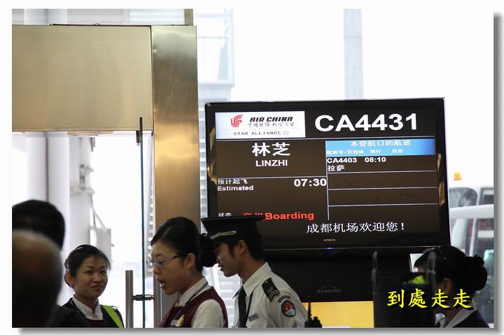 西藏小瑞士 ~林芝