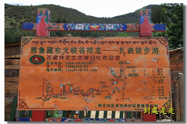 世界柏樹王園林