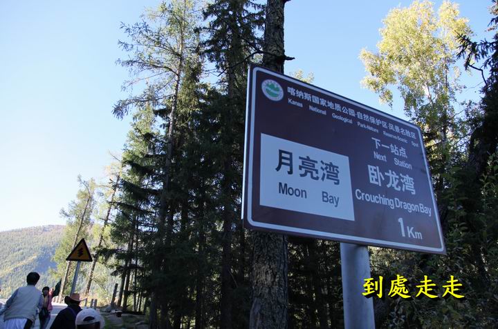 秋色美艷的臥龍灣