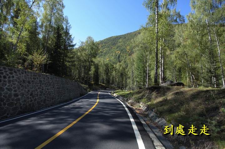 臥龍灣至喀納斯大橋風光