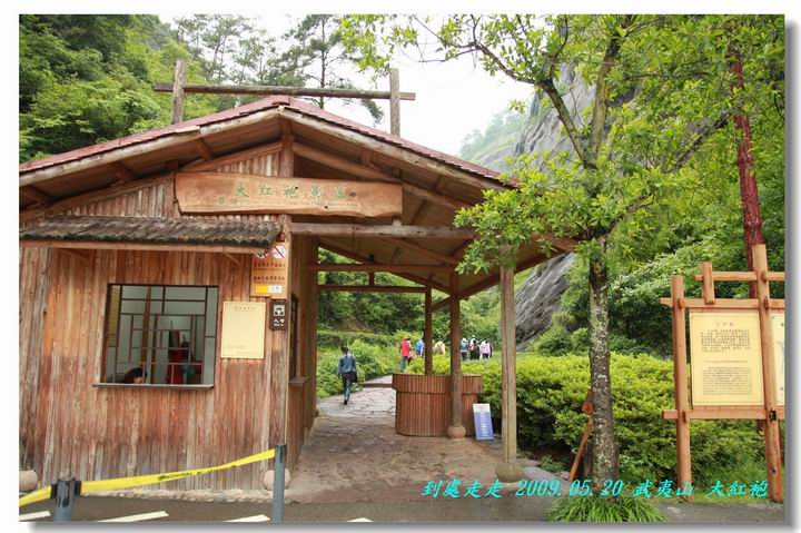 茶岩中的狀元【大紅袍】