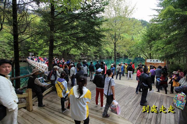 九寨溝的精華 五花海