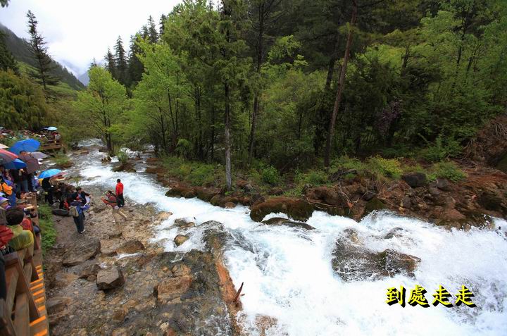 艷絕天下九寨溝：身在畫中不知處
