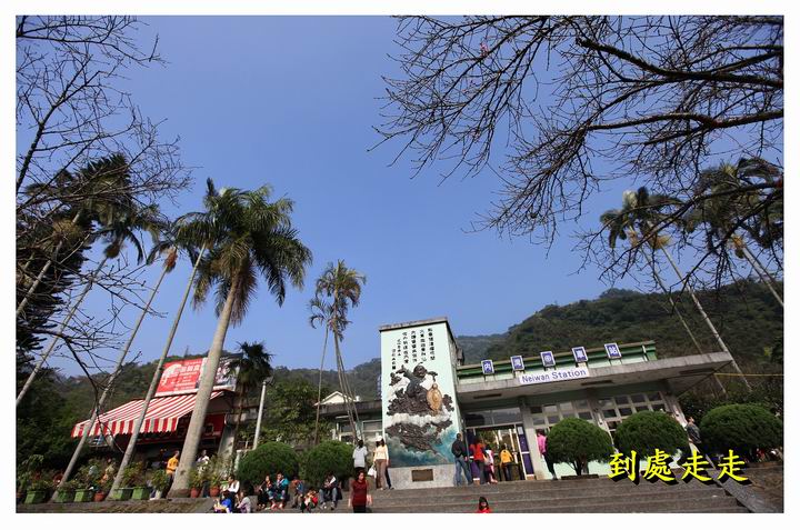 櫻花的故鄉~內灣