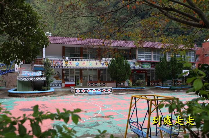 初冬時節的楓葉