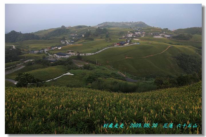 金夏最美,針情相約在六十石山