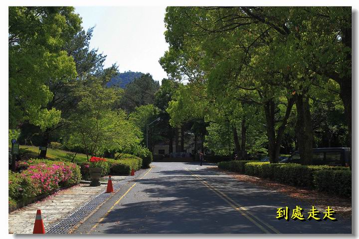 楓葉未紅的奧萬大