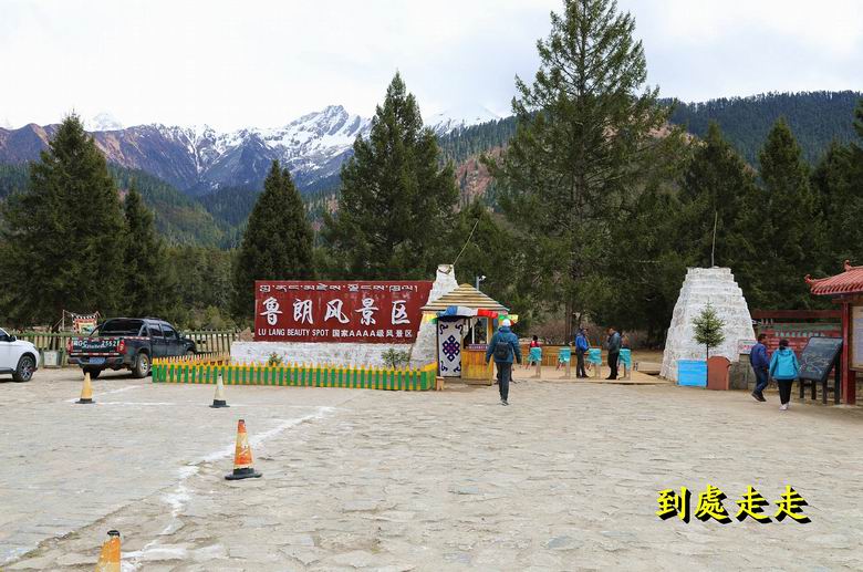 西藏之行–林芝 魯朗風景區